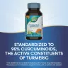 Nature's Way Turmeric Premium Extract (60 Tabletten)