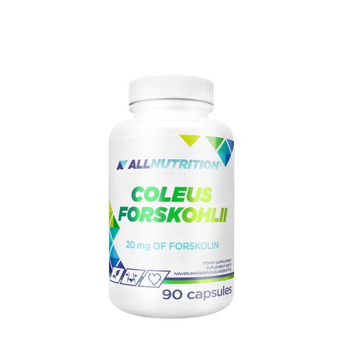 ALLNUTRITION Coleus Forskohlii (90 Kapseln)