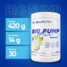 ALLNUTRITION Big Pump Pre-Workout (420 g, Zitrone)