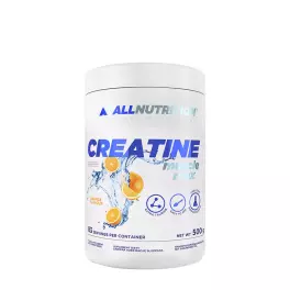 ALLNUTRITION Creatine Muscle Max (500 g, Orange)