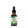 Nature's Answer Lomatium Extract  (1 fl. oz.)