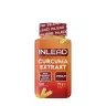INLEAD Nutrition Turmeric Extract (120 veg.Kapseln)