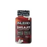 INLEAD Nutrition Shilajit (120 veg.Kapseln)