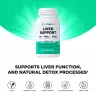 Vitamin360 Liver Support – Premium Leber-Schutzformel mit Mariendistel und Artischockenextrakt (60 veg.Kapseln)