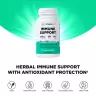 Vitamin360 Immune Support – Pflanzliches Nahrungsergänzungsmittel zur Unterstützung des Immunsystems (60 veg.Kapseln)