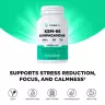 Vitamin360 KSM-66 Ashwagandha® 200 mg – Premium-Nahrungsergänzungsmittel mit Ashwagandha (120 veg.Kapseln)